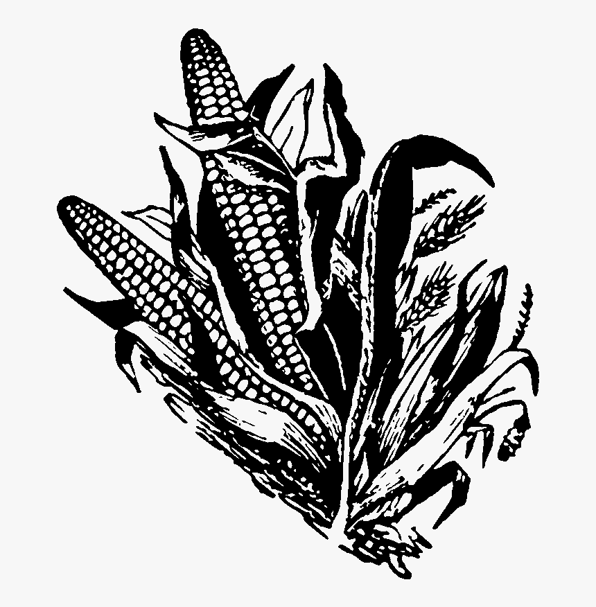 Corn Clipart Bit - Illustration, HD Png Download, Free Download