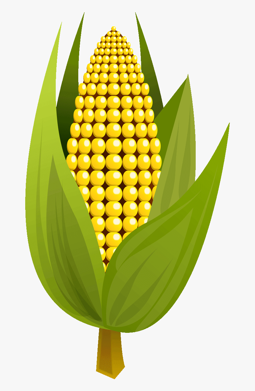 Transparent Corn Clipart Png - Corn Clipart, Png Download, Free Download