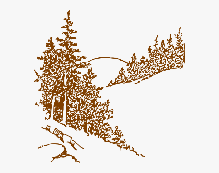 Black And White Pine Trees Clipart, HD Png Download, Free Download