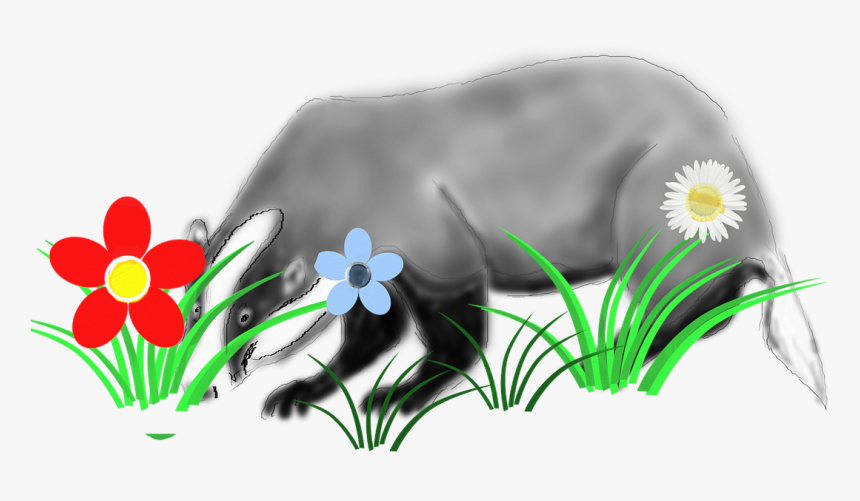 Badger Animal Forest - Daisy, HD Png Download, Free Download