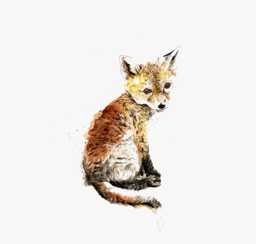 Transparent Baby Fox Png - Fox, Png Download, Free Download