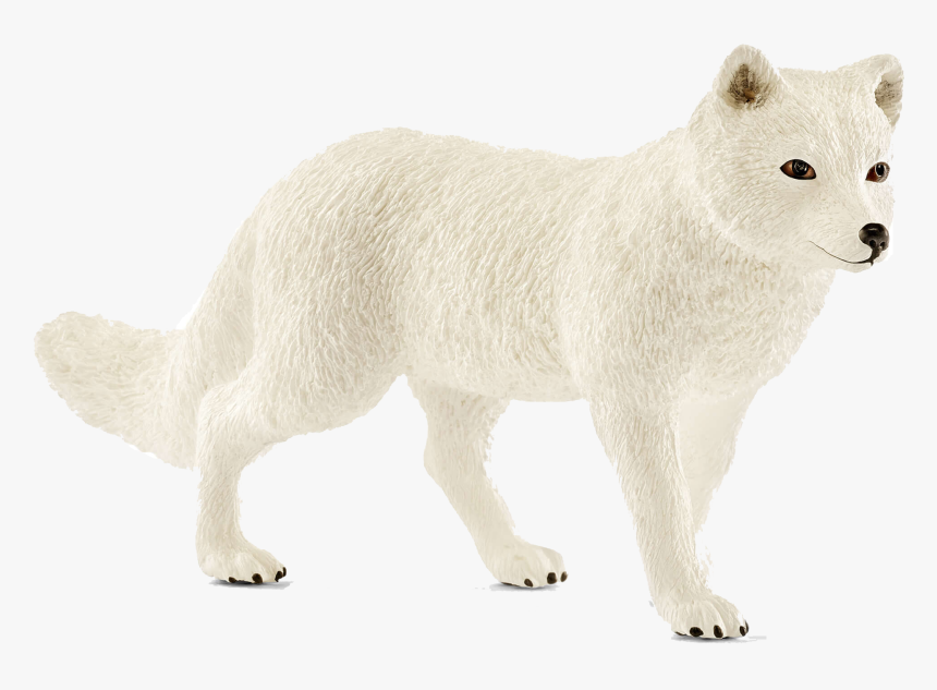 Transparent Baby Fox Clipart Black And White - Canis Lupus Tundrarum, HD Png Download, Free Download