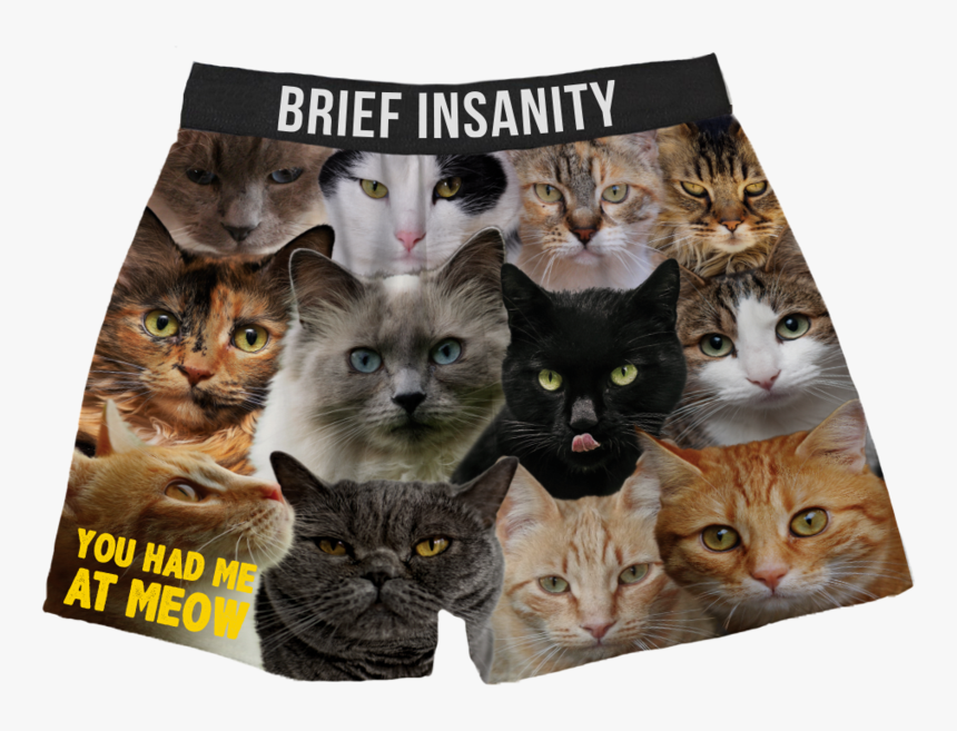 Cats Boxer Shorts You Had Me At Meow, HD Png Download, Free Download