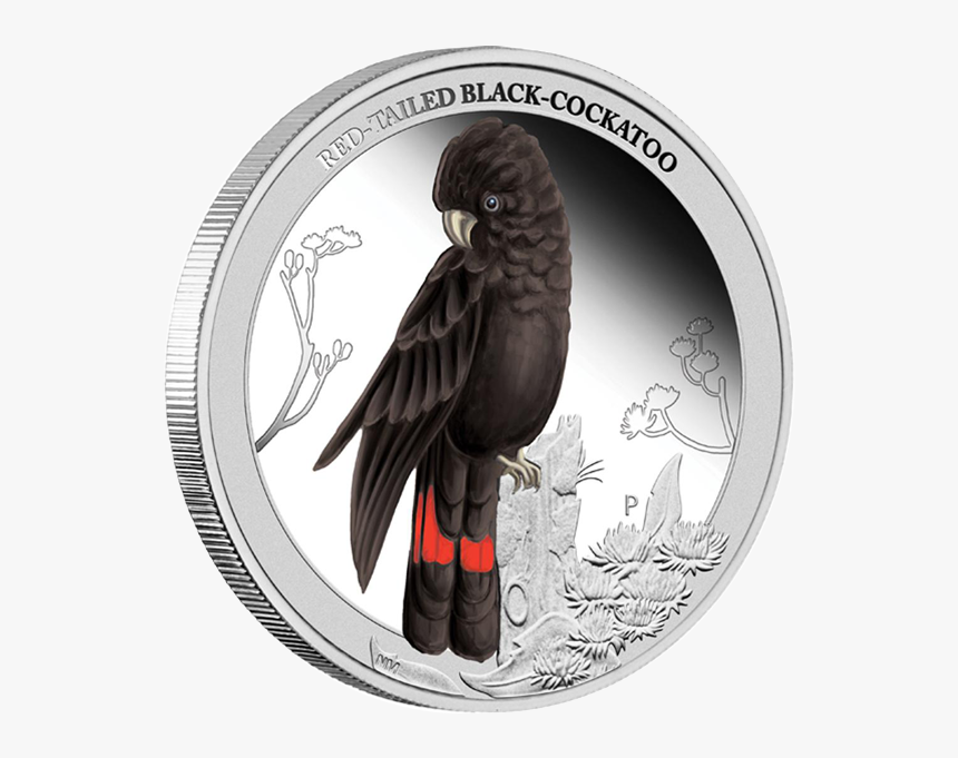 Australia 2013 50 Cents Red Tailed Black Cockatoo Birds - Red Tailed Black Cockatoo Art, HD Png Download, Free Download