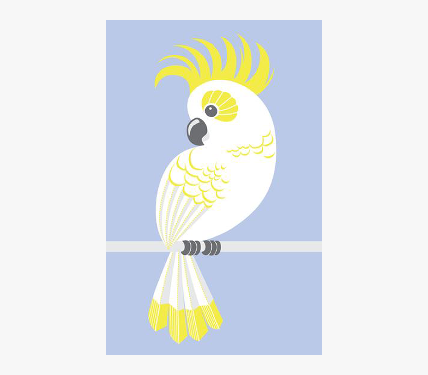 Sulphur-crested Cockatoo, HD Png Download, Free Download