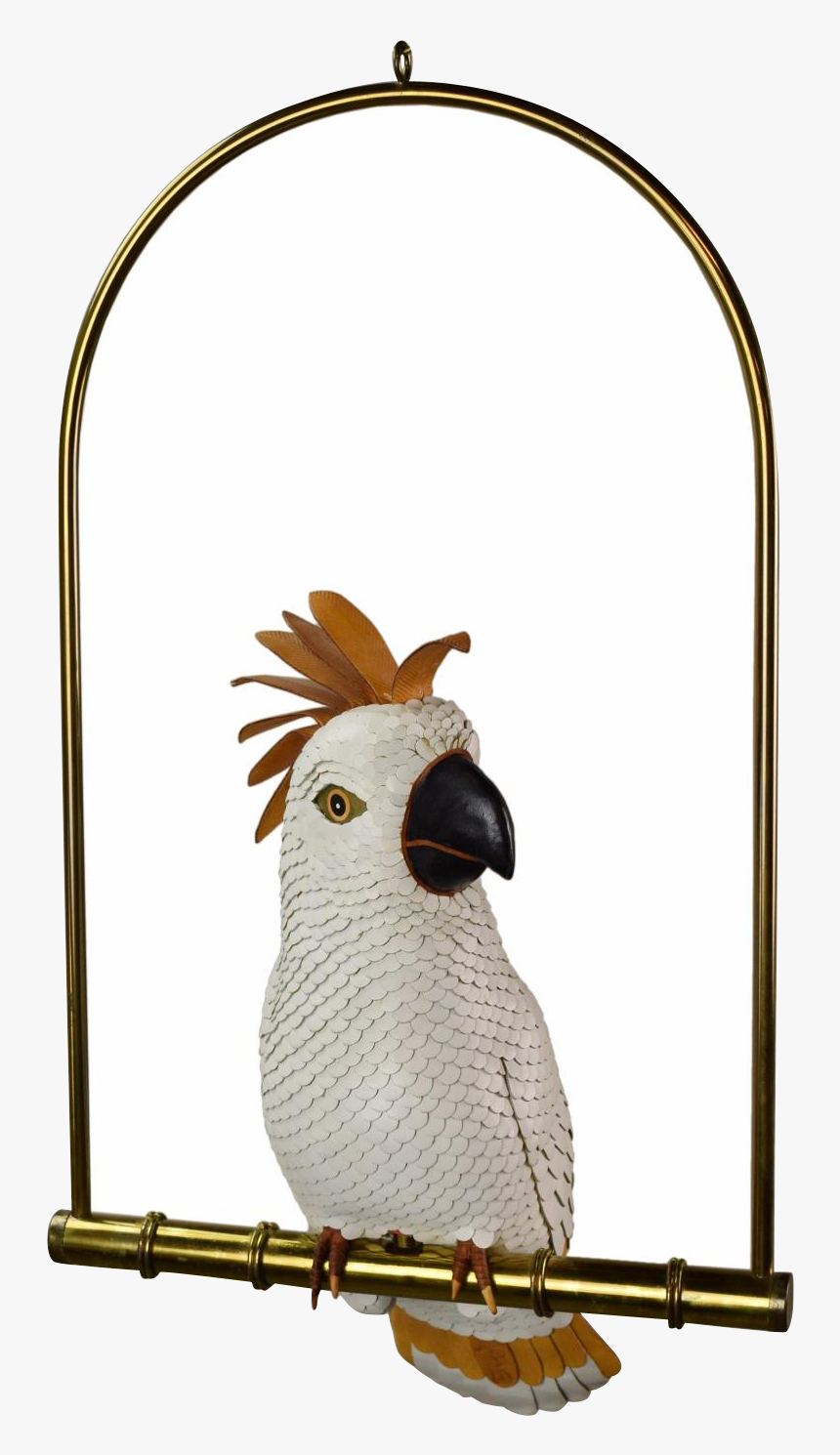 Cockatoo, HD Png Download, Free Download