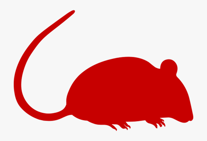 Clipart Rat Harmful Animal - Black And White Rat Png, Transparent Png, Free Download