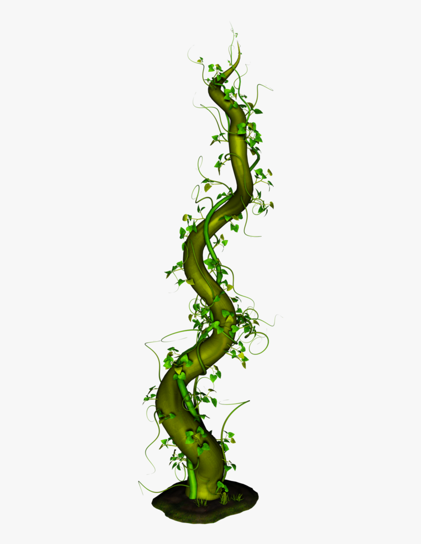 Thumb Image - Beanstalk Png, Transparent Png, Free Download