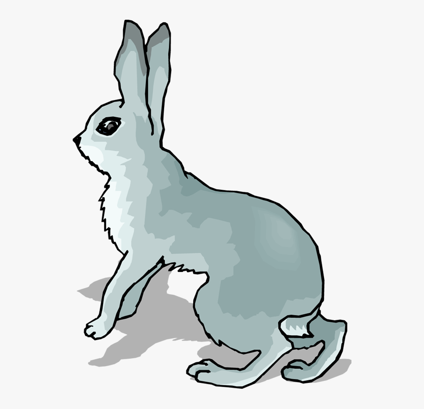 Illustration Hare Art Illustration of Many Recent Choices