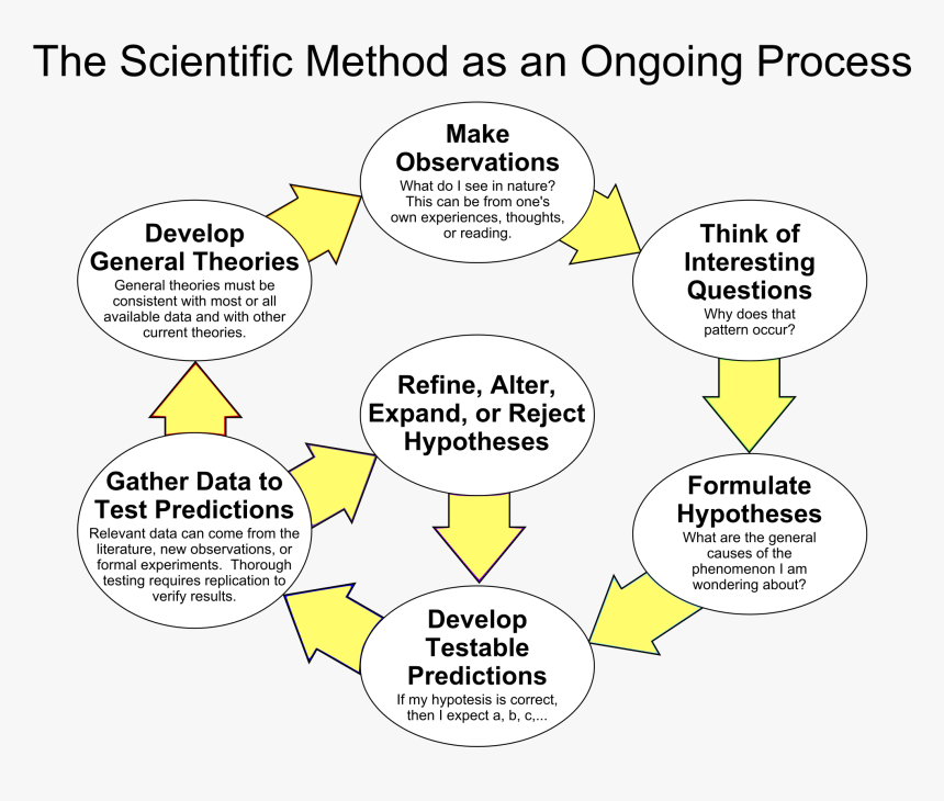 high-school-7th-grade-scientific-method-hd-png-download-kindpng