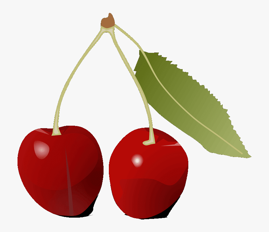 Wild Cherry Clipart - Cherry, HD Png Download, Free Download