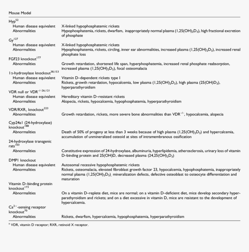 Human Metabolic Bone Disease, HD Png Download, Free Download