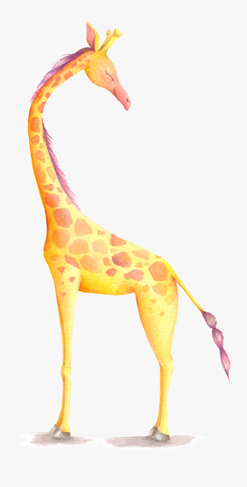 Giraffe Cartoon Transparent - Giraffe, HD Png Download, Free Download