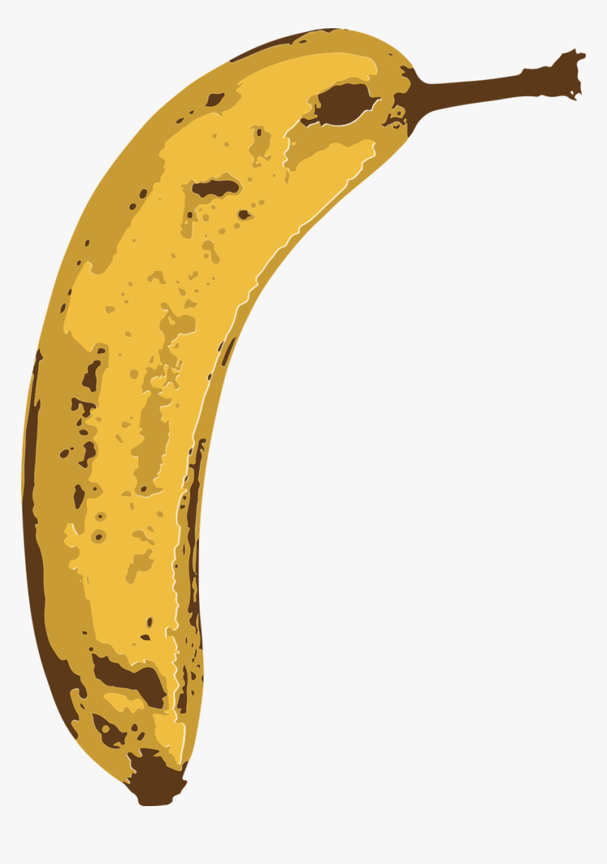 Transparent Peeled Banana Clipart - Tropical Fruit, HD Png Download ...