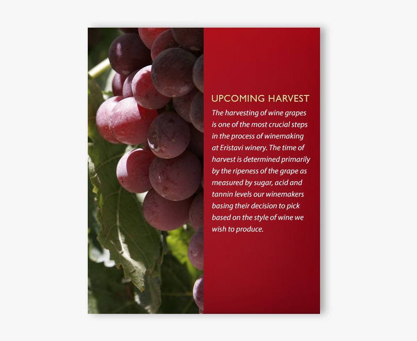 Eristavi Havest - Grape, HD Png Download, Free Download