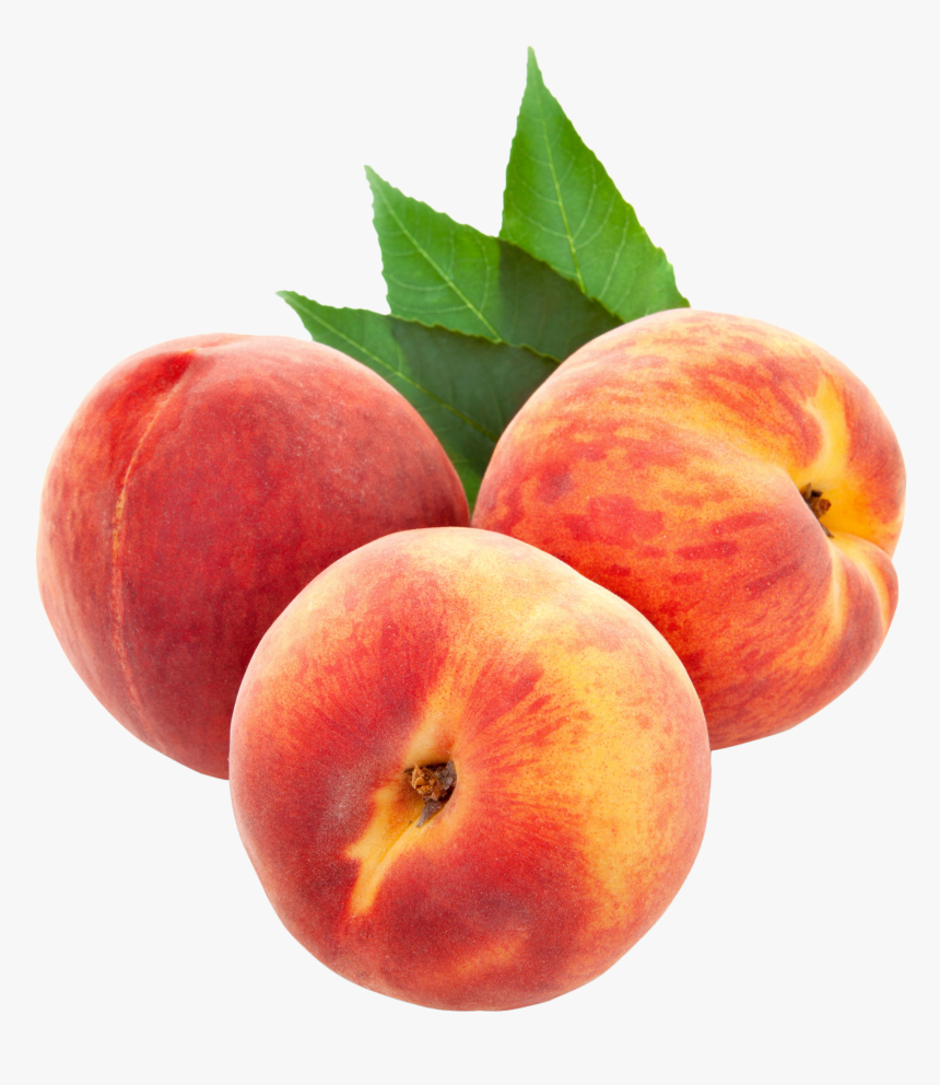 Peach Clipart Transparent Background Peach Peaches Clipart Png Png Download Kindpng