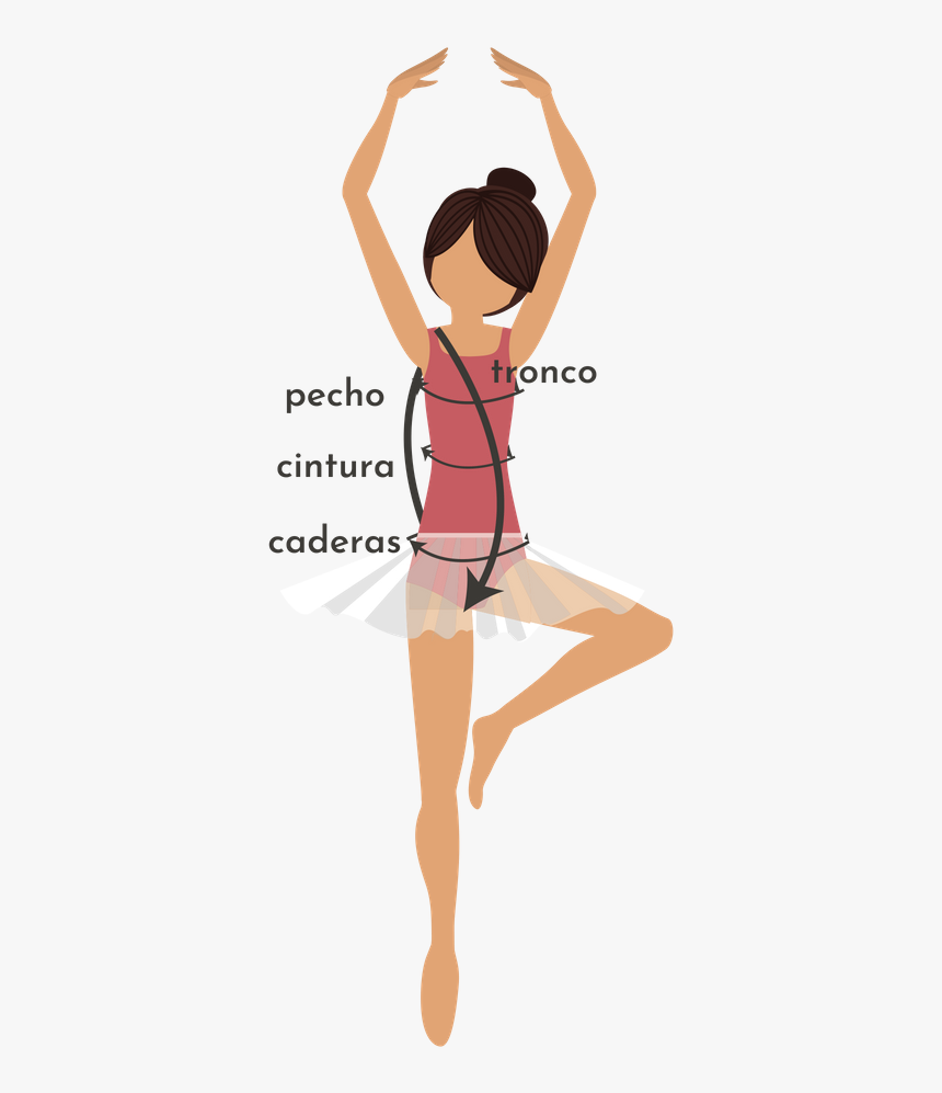 Tabla De Medidas - Posicion De Bailarina De Ballet, HD Png Download, Free Download