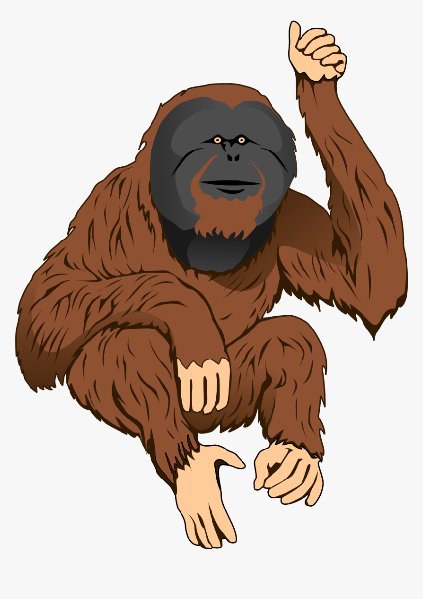 Orangutan Clipart, HD Png Download, Free Download