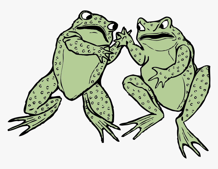 Two Frogs - Two Frog Clipart, HD Png Download, Free Download