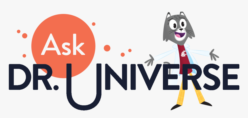 Universe Website Lgo - Cartoon, HD Png Download, Free Download