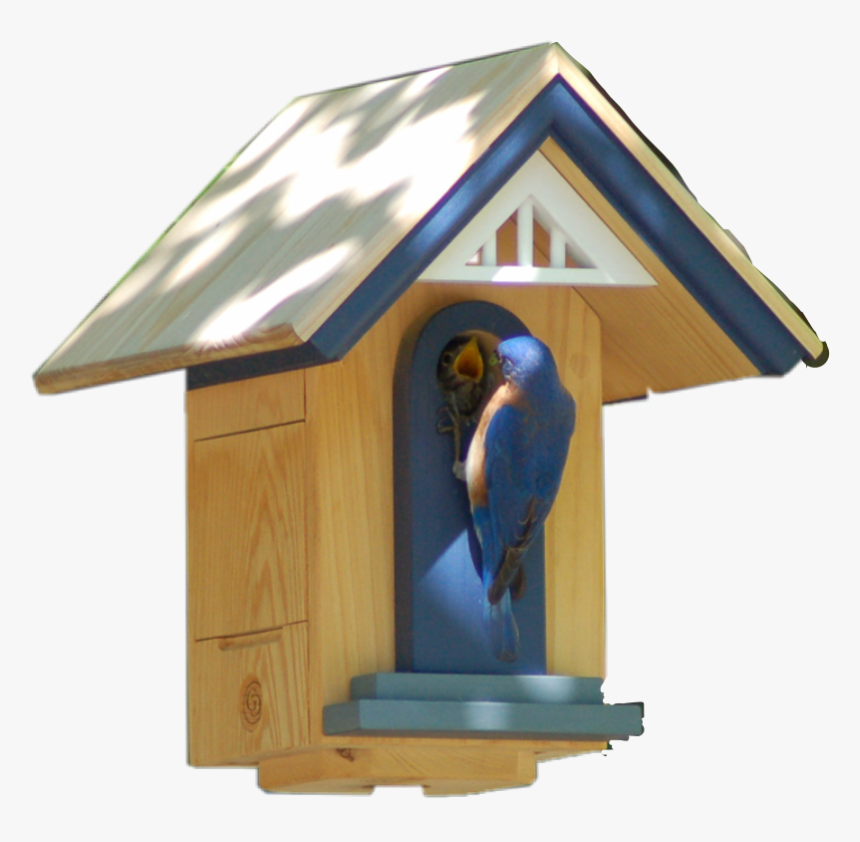 #birdhouse #baby #birds #mama #feeding #dailysticker - House, HD Png Download, Free Download