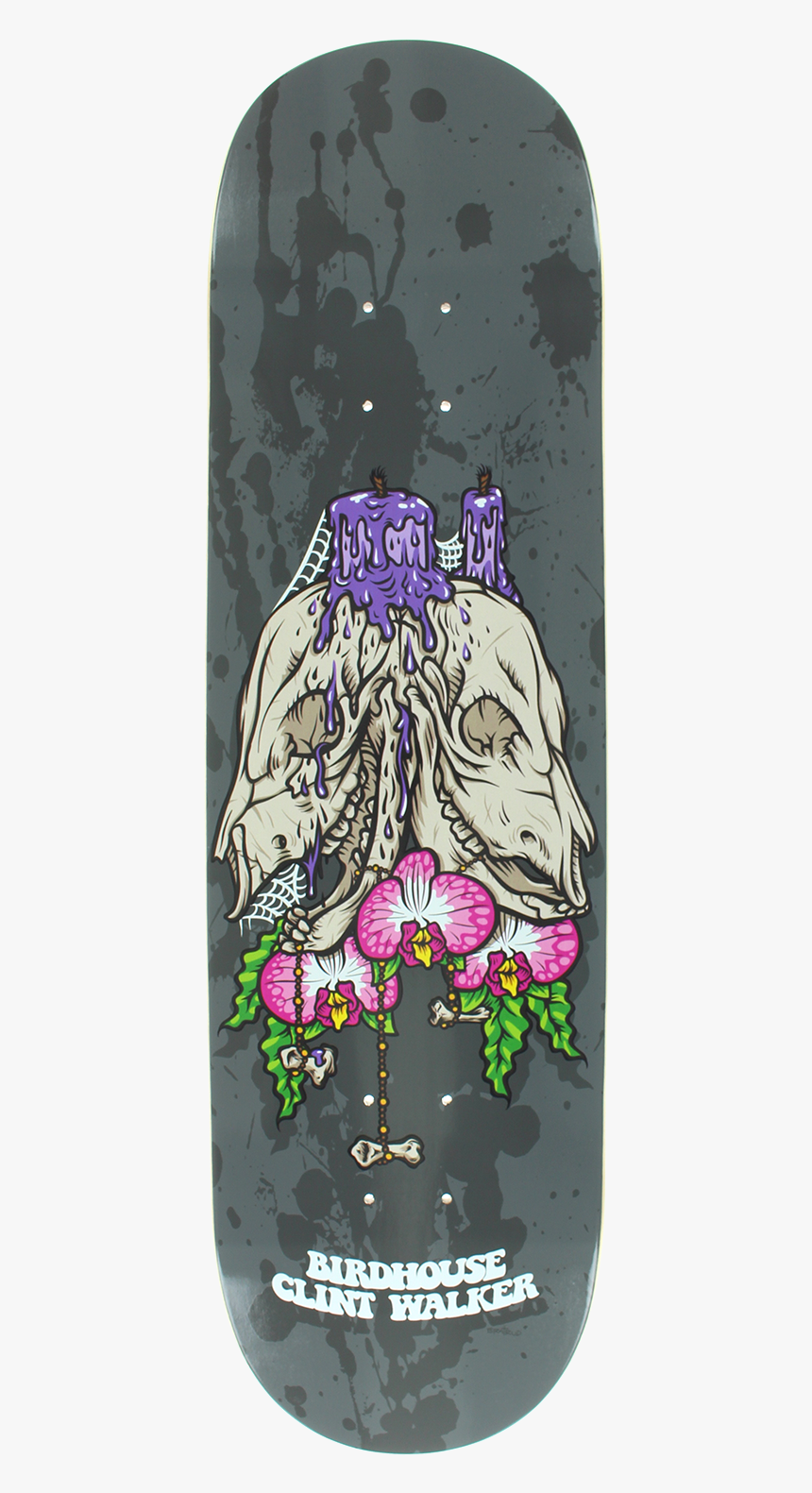 Skateboard Deck, HD Png Download, Free Download