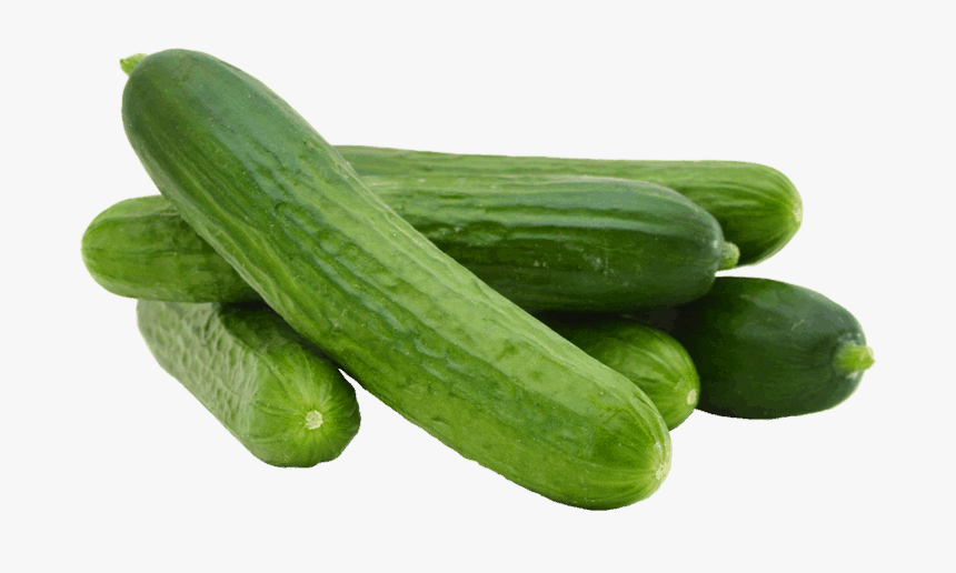 High Quality Cucumber, HD Png Download, Free Download