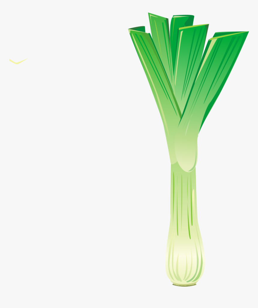 Leek, HD Png Download, Free Download