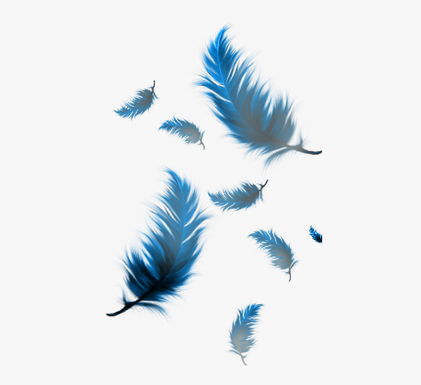 Feather Feathers Terrieasterly Freetoedit - Transparent Feathers, HD Png Download, Free Download