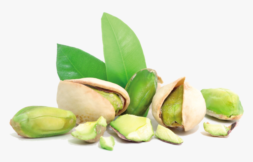 Pistachios Png - Pistachio Png, Transparent Png, Free Download