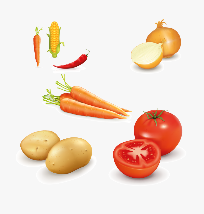 Carrots Vector, HD Png Download, Free Download