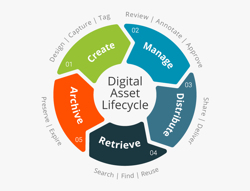 Digital Asset Lifecycle - Label, HD Png Download, Free Download