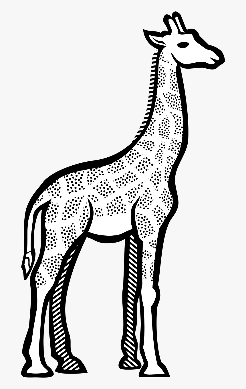 Giraffe Line Art, HD Png Download, Free Download