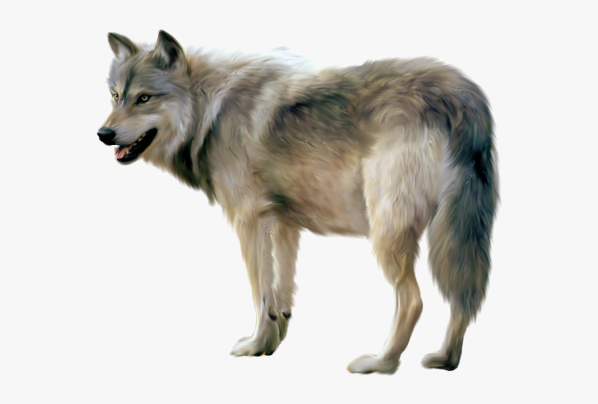 Wolf Painted Clipart Gallery High-quality Images Transparent - Wolf Transparent Background, HD Png Download, Free Download