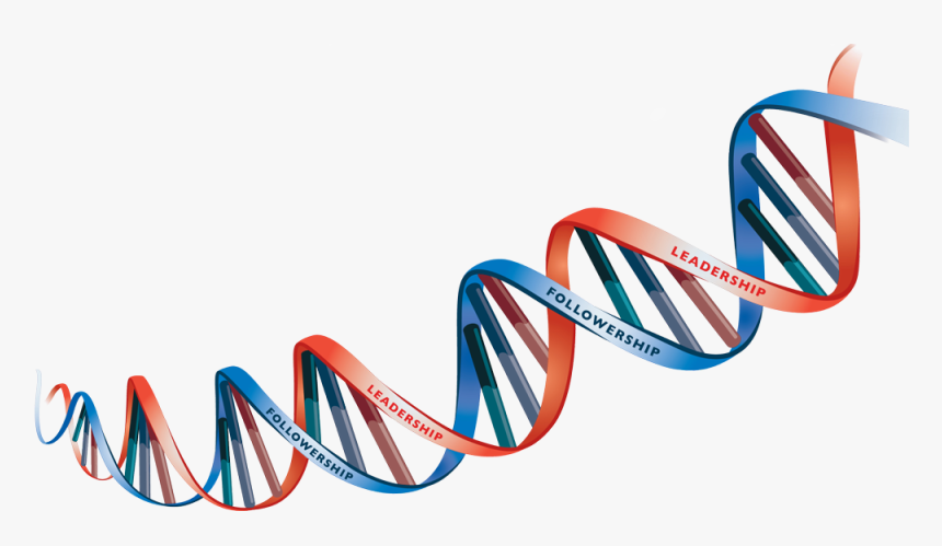 Dna Png Transparent Picture Transparent Background Dna Png Png Download Kindpng