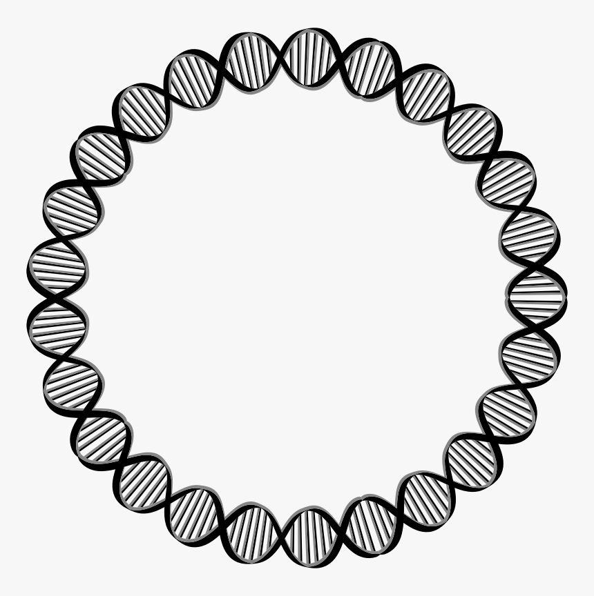 Dna Circle Gene Clip Art - Circle Outline Design Png, Transparent Png, Free Download