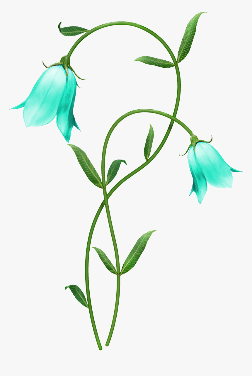 Transparent Flower Vines Png - Botanical Flowers Hd, Png Download, Free Download