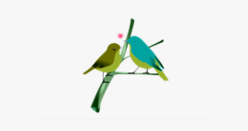 Love Birds Png Transparent Images - Love Birds Png, Png Download, Free Download