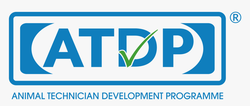 Atdp - Graphic Design, HD Png Download, Free Download