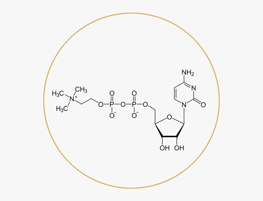 Biology Molecule, HD Png Download, Free Download