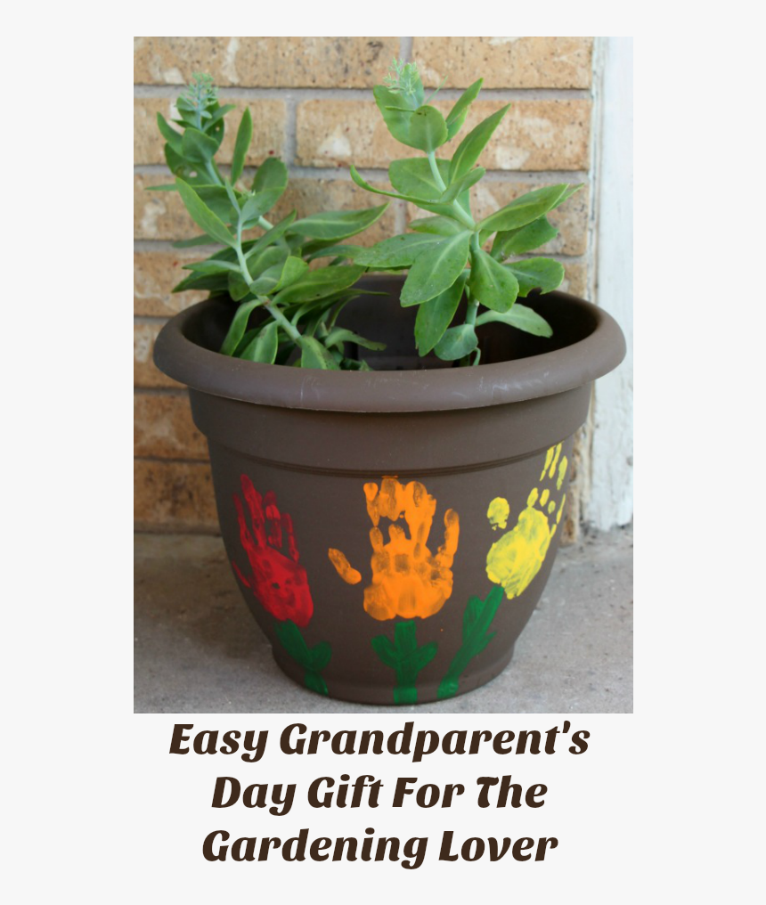 Easy Grandparents Day Gift - Grandparents Day Gifts Plant, HD Png Download, Free Download