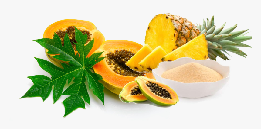 Natural Enzymes Manufacturers - Papaya Fruit With Leaf, HD Png Download, Free Download