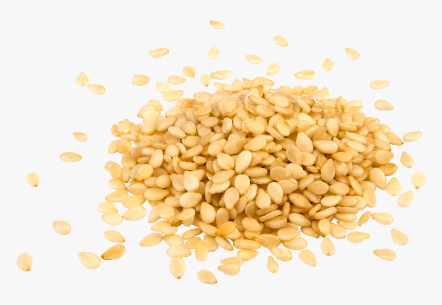 Sesame Seed No Background, HD Png Download, Free Download