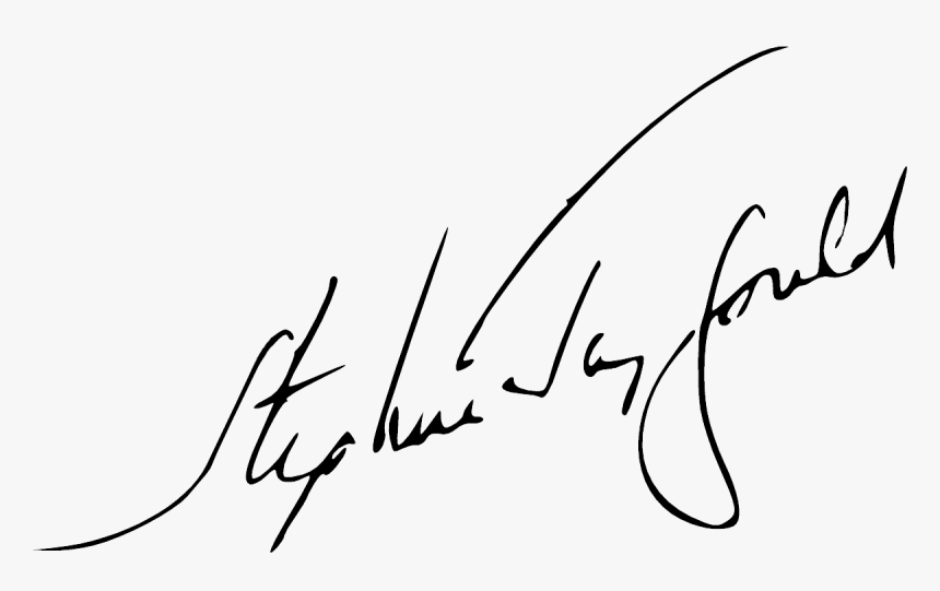 Sjg Signature - Png Format Signature Png, Transparent Png, Free Download