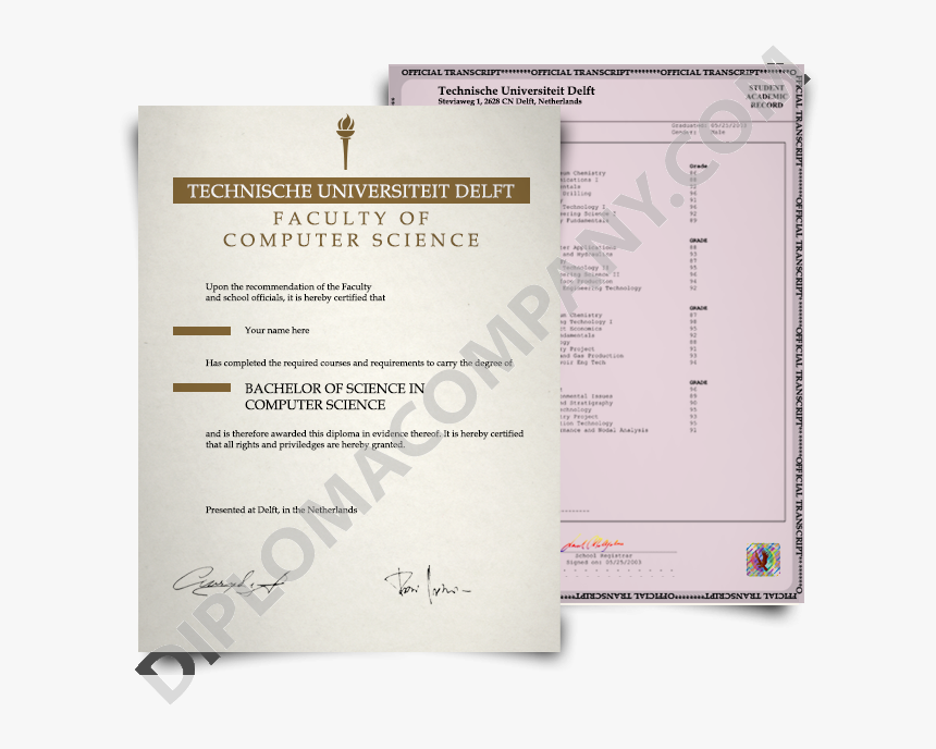 Fake Netherlands Degree - Handwriting, HD Png Download, Free Download