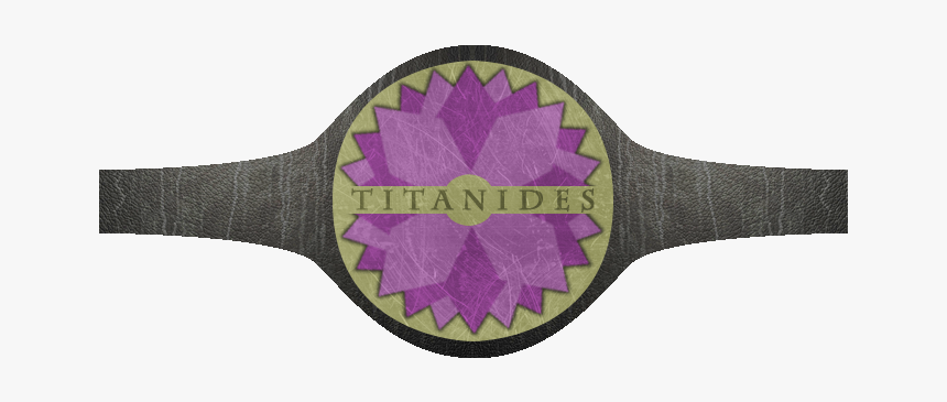 Titan Wrestling Association Titanides Zps996c7ef0 - Patchwork, HD Png Download, Free Download