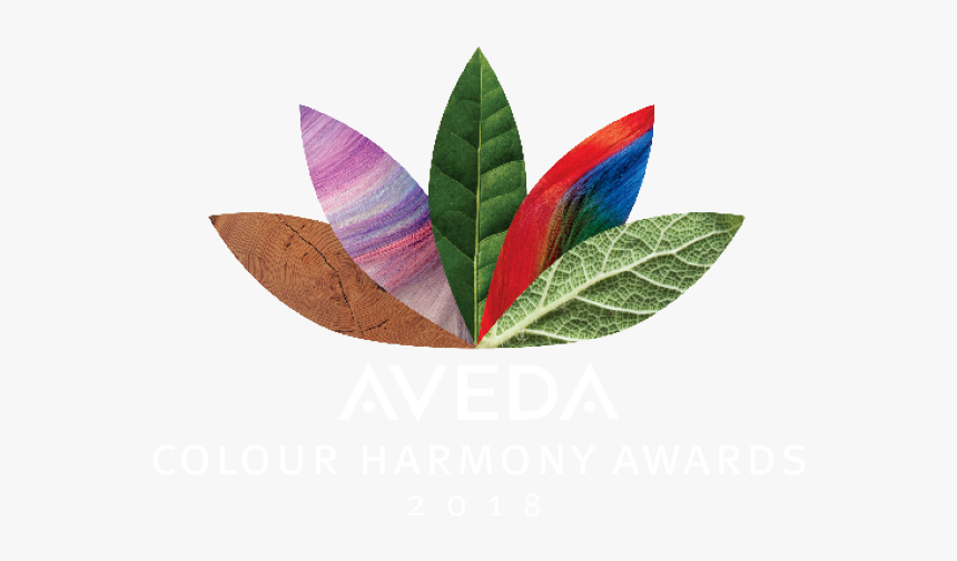 Colour Harmony Aveda, HD Png Download, Free Download