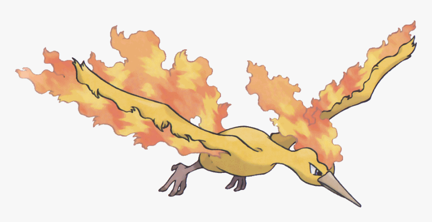 No Caption Provided - Pokemon Moltres Drawing, HD Png Download, Free Download