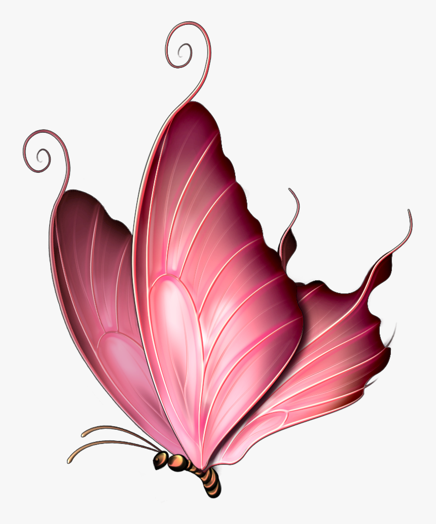 Butterfly Pink Elements Purple Of Pattern,cartoon Insect - Pink Butterfly Images Png, Transparent Png, Free Download