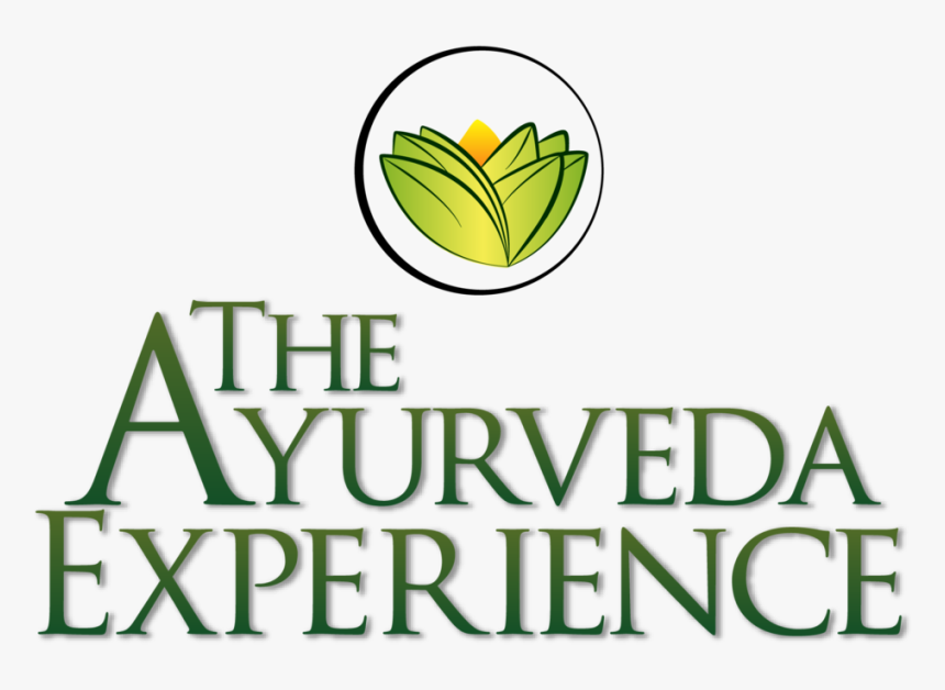 Platinum Plus Sponsor - Ayurveda Experience Logo, HD Png Download, Free Download